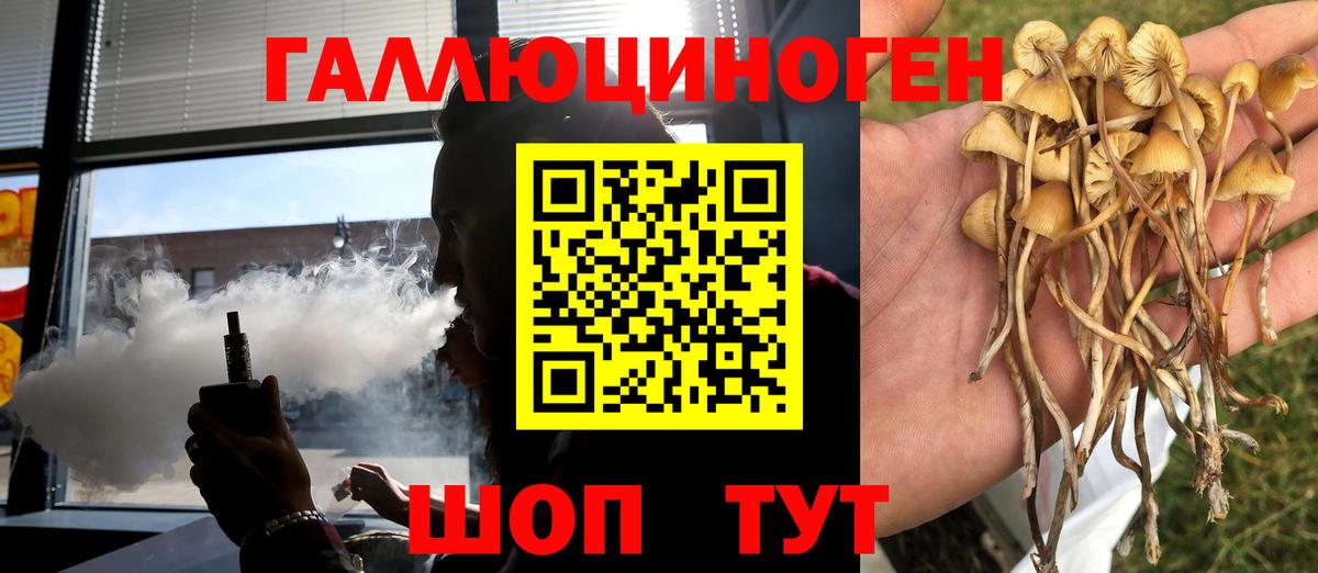 Псилоцибиновые грибы ЛСД Грозный